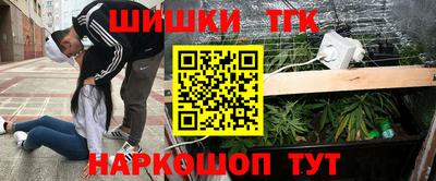 тгк Гусев
